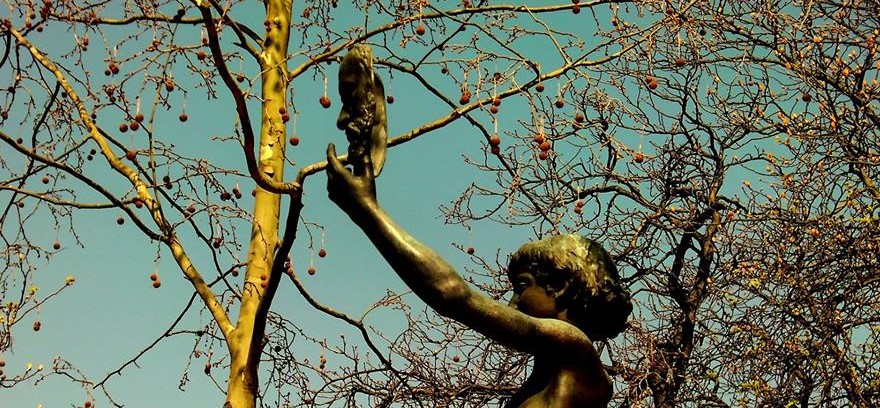 Atın beni kimliklere!