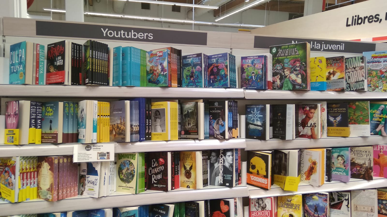 0906106a-efce-4dc1-8423-777ecbeee9e6