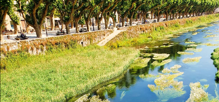 Bahçeli cehennemler